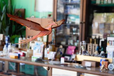 More Gifts — handpicked gift, Shop Komoda, Chicago