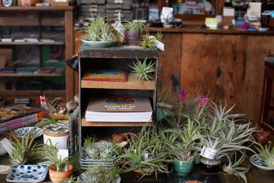 More Gifts — handpicked gift, Shop Komoda, Chicago